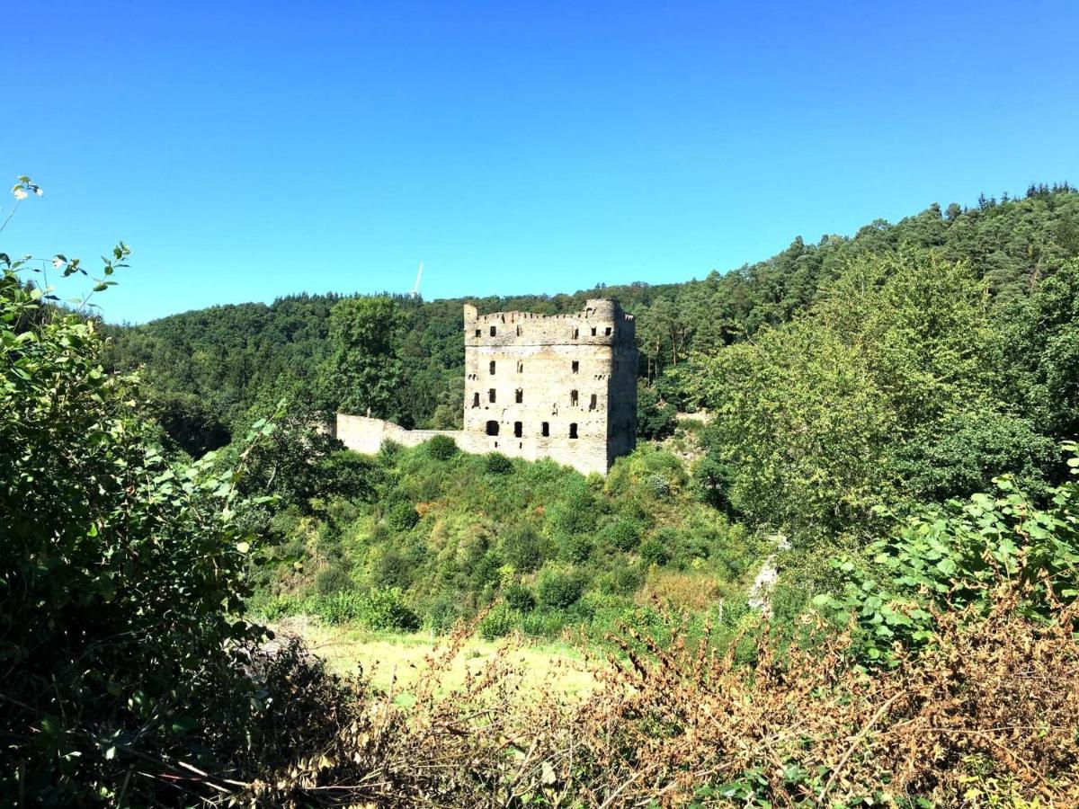 Ferienhaus Am Moselradweg Zell Eksteriør billede